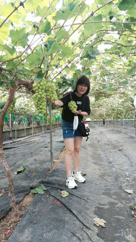 ,Thao nguyen – Noi sau