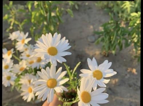 Trang Dao –
Biết quan tâm chia sẻ       …..