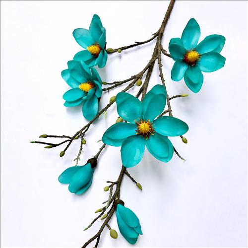 Ngọc Lan –
để tựa bờ vai