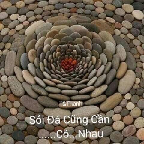 Nguoi_xa_la –
1 người phù hợp…..       …..