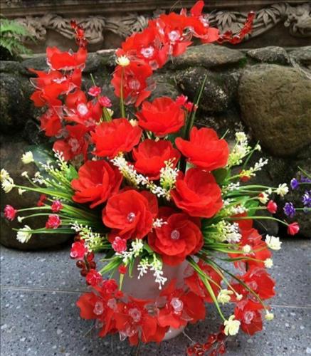 Thu –
Tìm một người có thể bê…..