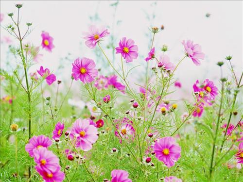 Thanh Hà –
Biết chia sẻ yêu thương   …..