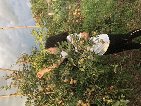 Phuong Nguyen – Gian di, yeu cong viec , thích mái ấm gia dinh