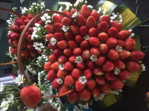 My –
Có thể Biết tiếng anh 1 ch…..