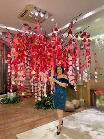 Nguyen thi truc uyen – I am a single mom. I would like to …..in a life.