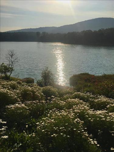 Nguyen  –
Thật về mọi thứ          …..