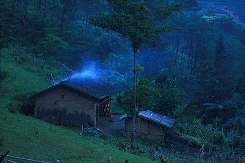 Lam Yên –
Ai thương em kẻ lỡ bước …..