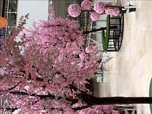 Ban mai –
Lịch sự, tâm lý biết quan…..