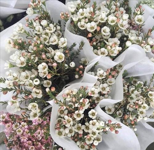 Bạc Phận –
Tìm một người bạn có tí…..