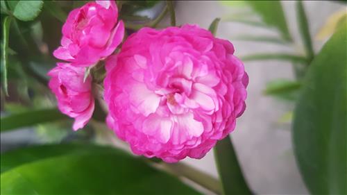 Mỹ Linh Nguyễn –
Vui vẻ, thông cảm.          …..