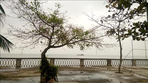 Cát –
Tìm bạn để trò chuyện, n…..