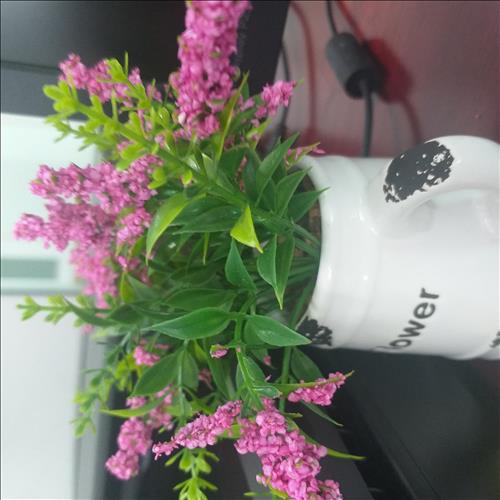 Ruby Trang –
Hợp mình