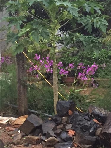 Mỹ –
Tìm một người