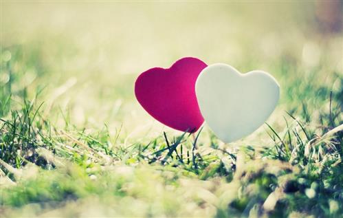 Lời Nói Dối –
vui vể ,hòa đồng…     …..