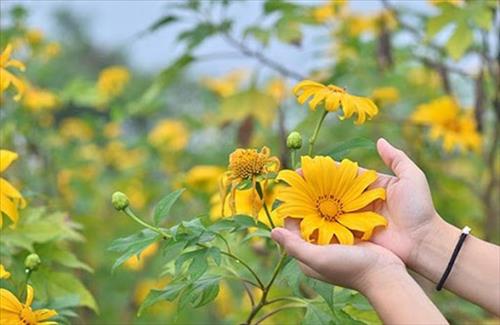 Mi Mi –
Cùng tôi chia sẻ mọi buồn…..