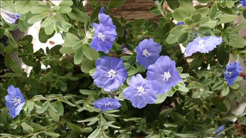 Flora♡ –
Bạn bè