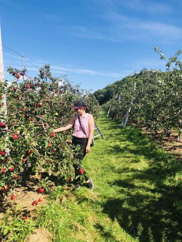 My – tìm hiểu sẽ rỏ