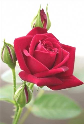 Đổi thay  –
Biết chia sẻ