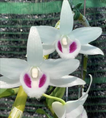 Phuong –
Tìm một người bạn để n…..