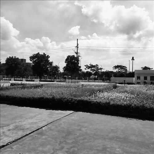 The moon –
Biết quan tâm và yêu thươn…..