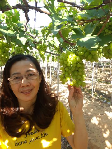 Lieu thuy – Noi sau