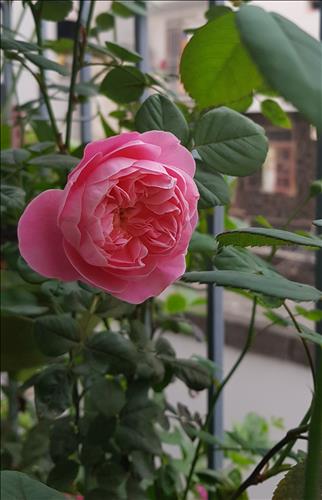 thanh thủy –
Người chín chắn, có trác…..