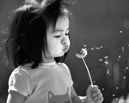 My Chin –
Lịch sự, hiền và lành the…..