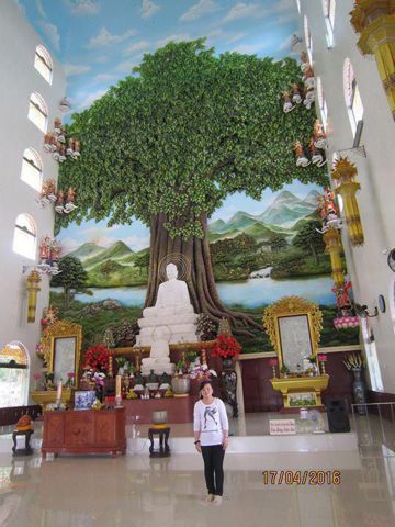 Misa Pham – Nói sau