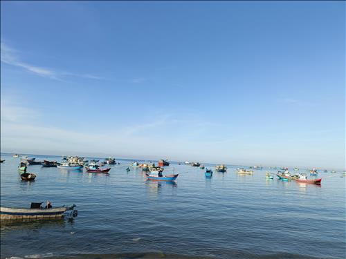 Phạm cúc –
Bạn mới