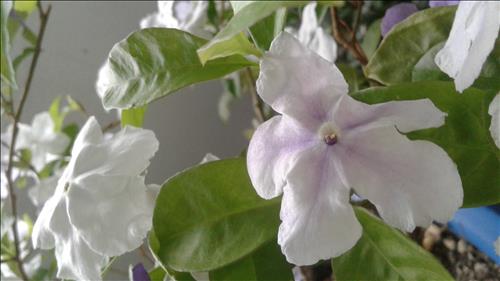 hien –
Co trach nhiem , chan thanh,  vui…..