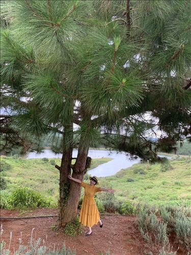 phương hoàng –
hài hước, chân thành       …..