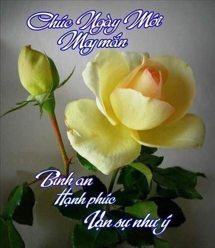 Ngoc –
Giống mình