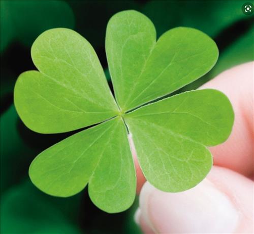 Girl 8X –
Tìm bạn chat chit