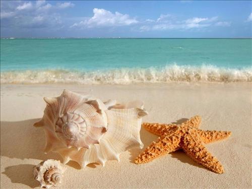 Con đường đang đi dở –
Cần tìm bạn trai 38 tuổi t…..