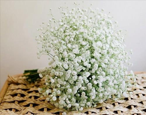 Loan –
Đầm tính, chân thật.      …..