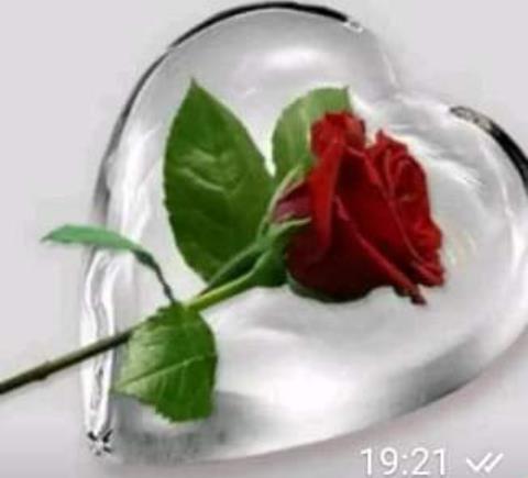 Hồng Ngọc (Ruby ) –
Chân thành biết lắng nghe …..