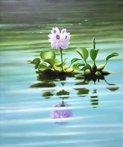 Nguyễn Huyền  –
Lịch sự, đàng hoàng, hiể…..