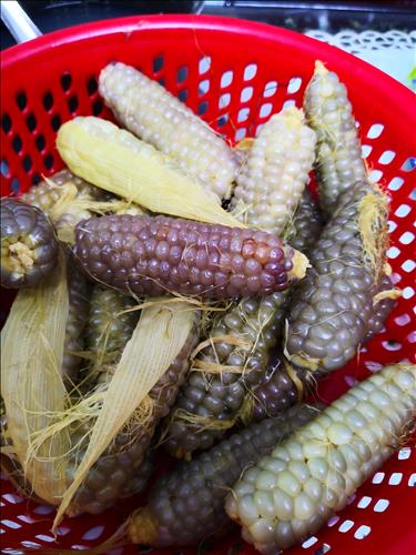 Trang –
Tìm các bạn gái để tâm s…..