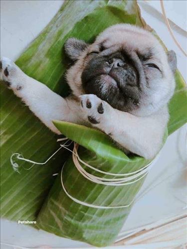 Hạnh Phúc –
Tôi cần 1 người bên cạnh…..