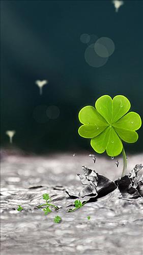 Maycuatroi_89 –
Vui vẻ,  hòa đồng        …..