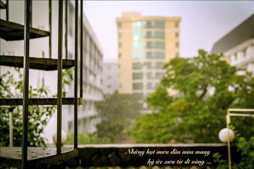 Lê Gia –
Trưởng thành, suy nghĩ độ…..