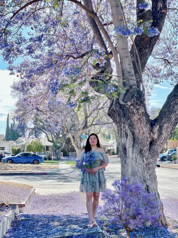 Mỹ – Cảm ơn bạn ghé tham trang này của Mỹ.