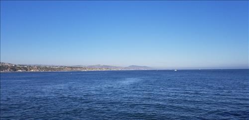 Biển Xanh –
Giống tôi