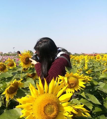 Lê Thị Như Quỳnh – Mẫu người của gia đình