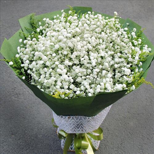 No Name –
chung thủy, vui vẻ, có trác…..