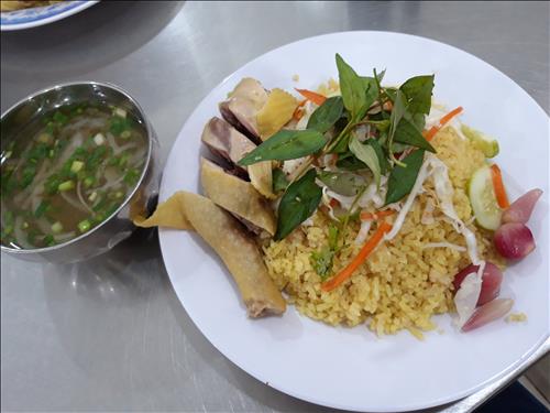 Nấm –
Bình thường