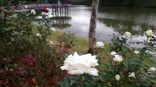 Nguyễn Tâm –
Muốn kết giao nhiều bạn m…..