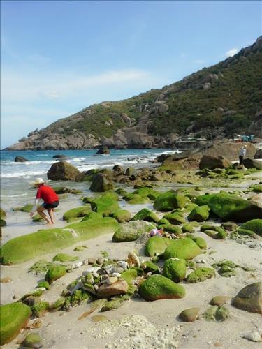 Mèo Nhỏ –
Đơn giản, thật thà        …..