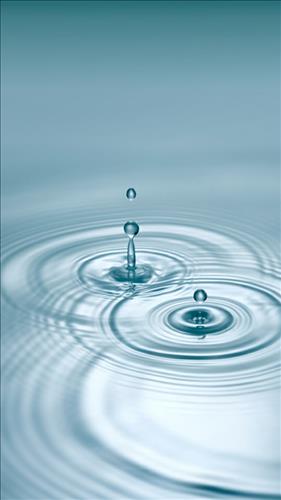 xử nữ –
Tôi muốn tìm một người c…..