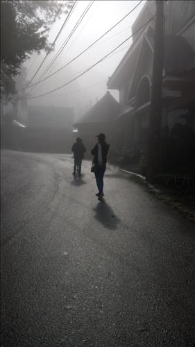 Le Nguyen –
sống chân thành, chung thủy…..